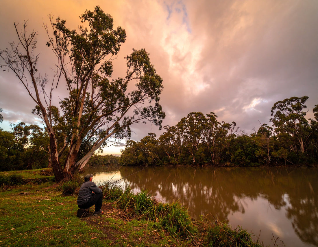Reel Therapy: How Fishing Anchors Our Mind and Soul